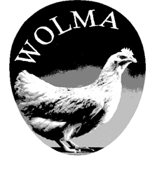 Wolma Eggs